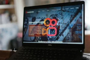 How smart local SEO and better web design lift businesses in Odessa, FL